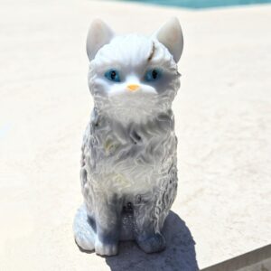 ko-ji cat - Selenita